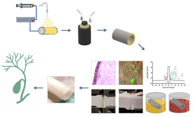 Immagine in evidenza