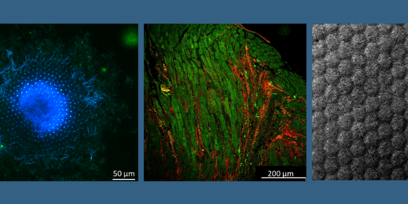 Progetto senza titolo