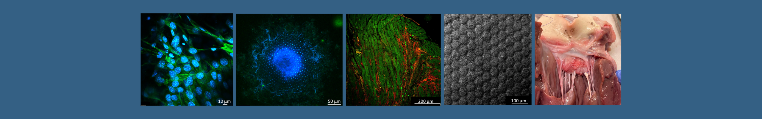 Progetto senza titolo