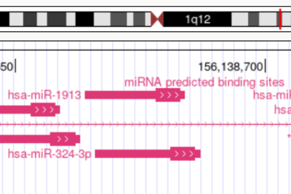 strumenti di previsione del target dei microRNA 2560x400