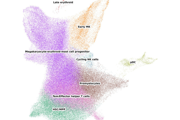 strumenti per l’analisi di dati ottenuti da sequenziamento dell'RNA a cellula singola 600x400